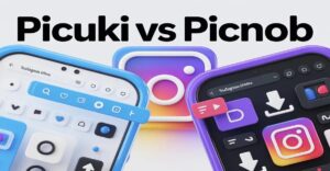 Difference Between Picuki and Picnob